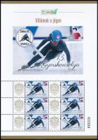 2025 Villámok a jégen 13. Gyorskorcsolya - Belföld megszemélyesített ív