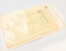 cca 1904-1918 Testvérpár iskolai bizonyítványai, benne az érettségikkel is, kb. 20 db, (Piaristák, Kalocsai Jezsuiták...stb.) Változó állapotban.