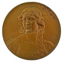 Berán Lajos (1883-1943) ~1931. "Budapesti emlék" kétoldalas bronz emlékérem (80mm) T:XF ph.