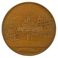 Berán Lajos (1883-1943) ~1931. "Budapesti emlék" kétoldalas bronz emlékérem (80mm) T:XF ph
