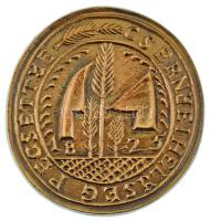 DN "Csernyei helység pecséttye - 1825" egyoldalas bronz emlékérem (~70-72mm) T:AU