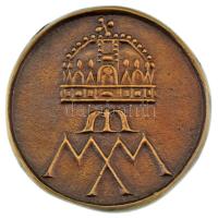 Asszonyi Tamás (1942-) 2000. "Magyar Millenium" öntött bronz emlékérem (~55mm) T:AU