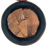 1995. "Kisebbségekért díj" egyoldalas, öntött bronz plakett, eredeti bőr dísztokban (91x95mm) T:AU