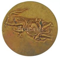 1970. "A Szocialista Igazságügy Szolgálatáért 1945-1970" bronz emlékplakett, hátoldalon gravírozva (97mm) T:XF patina