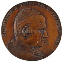 1991. "Őszentsége II. János Pál Budapest 1991" egyoldalas, öntött bronz plakett, hátoldalon két darab, rögzítésre szolgáló pecekkel (141mm) T:XF