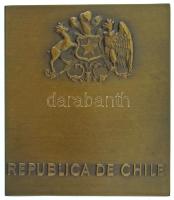 Chile DN "Congreso Nacional Senado / Republica de Chile" kétoldalas bronz emlékérem, díszt...