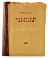 Bánhegyi József - Bohus Gábor - Kalmár Zoltán - Ubrizsy Gábor: Magyarország nagygombái a kalaposgombák kivételével. Magyarország virágtalan növényeinek határozó kézikönyve II. rész. Borzsák Sándor és Koch Ernőné rajzaival. Bp., 1953, Akadémiai Kiadó, 368 p. +69 (fekete-fehér képtáblák) t. Kiadói félvászon-kötés, kopott borítóval, sérült elülső borítóval és sérült kötéssel, néhány foltos lapszéllel. Megjelent 1000 példányban.