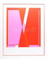 Fajó János (1937-2018): Fehér metszés, 1967-1991. Szitanyomat, papír, jelzett, számozott (XXIII/XL), üvegezett fakeretben, 52x47 cm. Az 1991-ben megjelent Szerigráfia a 60-as évekből c. mappából. / János/Jan Fajó (1937-2018): White cut, 1967-1991. Serigraphy on paper, signed, numbered (XXIII/XL), framed, 52x47 cm