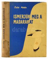 Béldi Miklós: Ismerjük meg a madarakat. Bukarest,1962,Ifjúsági Könyvkiadó, 291+1 p. A szerző rajzaival. Kiadói félvászon-kötés, kopott, foltos borítóval.