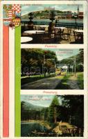 1911 Pozsony, Pressburg, Bratislava; Ligeti kávéház, IX. malom II. tó, Vaskutacska, korai trolibusz. Magyar zászló és címer / Au Caféhaus, IX. Landmühle II. Teich, Eisenbrünnel (Eisenbründl) / Zelezná Studienka / general view, lake, café, spa with early trolleybus, Hungarian flag and coat of arms (r)