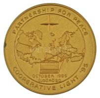 1995. NATO "Partnership for Peace - Cooperative Light - October 1995 - Újdörögd" (Partnerség a békéért - közös fény) egyoldalas fém emlékérem (42,5mm) T:AU