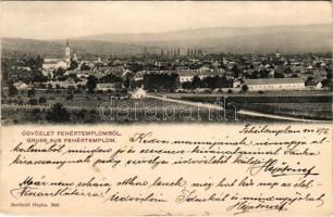 1904 Fehértemplom, Ung. Weisskirchen, Bela Crkva; látkép. Berthold Hepke 3641. / general view (kis szakadások / small tears)