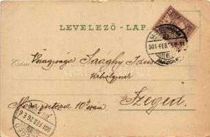 1901 Nagybecskerek, Zrenjanin, Veliki Beckerek; Erzsébet tér, Takarékpénztár, lovaskocsik. E. Watzke...