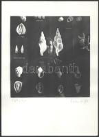 Erika Kiffl (1939-): Dialog fotóművészeti alkotás, számozott (269./300) és a művész által aláírt fotóművészeti alkotás, In: Erika Kiffl - Maurer Dóra: Dialog. Kiállítási katalógus. Bp., Goethe-Institut, 17x16,5 cm, lap: 28x20 cm