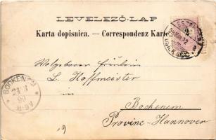 1899 (Vorläufer) Eszék, Essegg, Osijek; Markt, Apotheke, Waarenhaus / Piac, Florian Stanetty üzlete,...