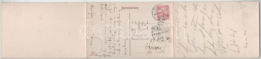 1918 Pozsony, Pressburg, Bratislava; gőzhajó, vár. 3-részes panorámalap a Dunáról nézve / steamship,...