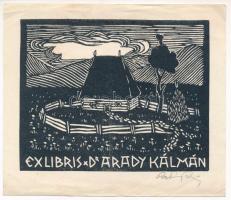 Radványi Román Károly (1900-1957): Ex libris dr. Arady Kálmán, fametszet, papír, jelzett, lapszéli egészen apró szakadással, 10,5x13 cm