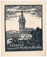 Radványi Román Károly (1900-1957): Ex libris vizkeleti dr. Arady Kálmán, fametszet, papír, jelzett, lapszéli egészen apró folttal, 12x9,5 cm