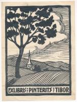 Radványi Román Károly (1900-1957): Ex libris Pinterits Tibor, linómetszet, papír, jelzés nélkül, hajtásnyommal, 17x13 cm