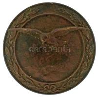 1914-1918 k. "I. világháborús repülős jelvény" bronz jelvény tű nélkül (45mm) T:XF patina, ph.