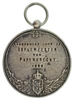 Hollandia 1936. ezüstözött lövészeti vagy vadászati díjérem füllel és függesztőkarikával, hátoldalán...