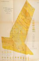 1896 Sz. György Halma puszta és kis Muzsla részletes talaj térképe Horusitzky Henrik-től. M: 1:7200....