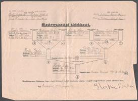 cca 1940 2 Származási igazolás. + Személyleírás lap