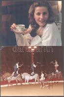 22 db filmfotó, mozifotó, színpadi fotó, színész, énekes, cirkusz, stb fotó