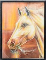 Völgyi Sándor (1949-2013): Lóportré. Olaj, vászon, faroston, jelzett. Fakeretben. 30x23,5 cm