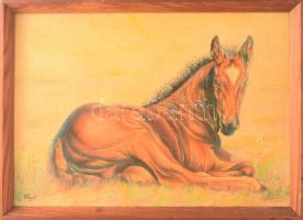 Völgyi Sándor (1949-2013): Csikó. Olaj, vászon, falemezen, jelzett. Fakeretben. 29,5x41 cm