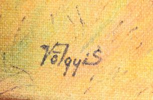 Völgyi Sándor (1949-2013): Csikó. Olaj, vászon, falemezen, jelzett. Fakeretben. 29,5x41 cm