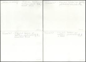 Kastélykertek 10 db fotó : Nádasladány, Vácrátót, Gács, hátoldalon feliratozott 18x13 cm