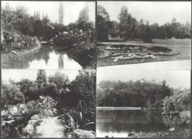 Kastélykertek 10 db fotó : Nádasladány, Vácrátót, Gács, hátoldalon feliratozott 18x13 cm