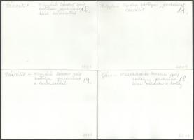 Kastélykertek 10 db fotó : Nádasladány, Vácrátót, Gács, hátoldalon feliratozott 18x13 cm