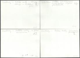 cca 1970 35 db kastélyfotó magyar kastélyokkal: Keszthely, Fraknó, Nádasldány, Lesencetomaj, stb. 24...