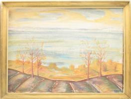 Lelkes András (1943-2009): Balaton. Olaj, vászon, jelzett, hátoldalán Képcsarnok Vállalat címkéjével. Dekoratív, kissé sérült fakeretben. 60×80 cm
