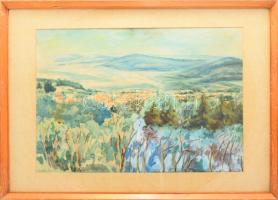 Olvashatatlan jelzéssel: Budakeszi, akvarell, papír, üvegezett fakeretben. 40x58 cm