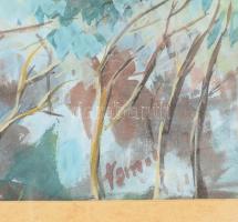 Olvashatatlan jelzéssel: Budakeszi, akvarell, papír, üvegezett fakeretben. 40x58 cm