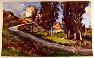 Zágoni Mikes Kelemen Törökországi Levelei. A Magy. Kir. Kormány támogatásával, II. Rákóczi Ferencz h...