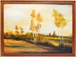 Mikus Ferenc (1938-): Alföldi táj. Olaj, karton, jelezve jobbra lent. Fakeretben. 55x80 cm.