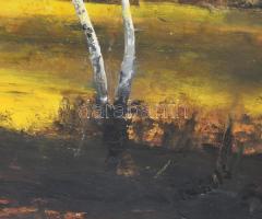 Mikus Ferenc (1938-): Alföldi táj. Olaj, karton, jelezve jobbra lent. Fakeretben. 55x80 cm