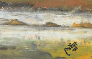 Mikus Ferenc (1938-): Alföldi tanya. Olaj, karton, jelezve jobbra lent. Fakeretben. 55x70 cm