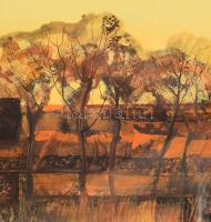 Madarász Gyula (1935-2012): Hajdúsági táj. Vegyes technika, papír, jelzett, hátoldalán Képcsarnok Vá...