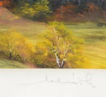 Olvashatatlan jelzéssel, feltehetően erdélyi magyar festő: Nagykőhavas, Erdély, 1960. Gouache, papír...