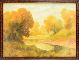 Gy. Riba János (1905-1973): Vízparti táj (Zagyva?). Olaj, karton, jelezve jobbra lent, dekoratív üvegezett fakeretben. 50x70 cm