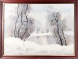 Gy. Riba János (1905-1973): Téli vízpart (Zagyva?). Olaj, vászon, jelezve jobbra lent, fakeretben. 51x68 cm