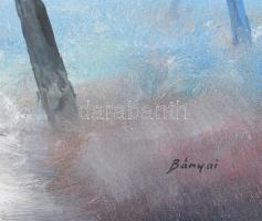 Bányai Béla (1955): Hangulatos táj. Olaj, farost, jelzett, fakeretben, 50x70 cm