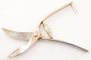 Solingen csirkebontó olló, jelzett, h: 24 cm