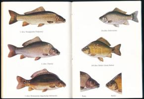 Antos Zoltán et al.: Amit a horgásznak tudnia kell. Bp., 1983, Magyar Országos Horgász Szövetség, 46...