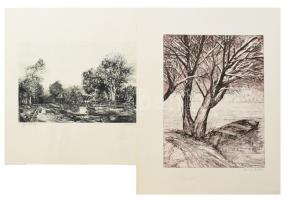 Simon Zoltán (1950-), össz. 4 db grafika: Nyárfák, vízparti táj, portré és tájkép. Rézkarc, papír, 2 db jelzett. Klf. méretekben.